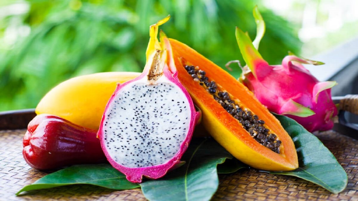 Iran’s capacity in exporting tropical fruits to Russia – Tejarat Pishe ...